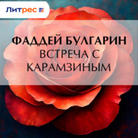 . Встреча с Карамзиным