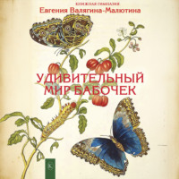 Евгения Валягина-Малютина. Удивительный мир бабочек