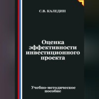 Сергей Каледин. Оценка эффективности инвестиционного проекта