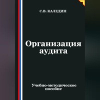 . Организация аудита