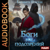 Елизавета Шумская. Боги вне подозрений