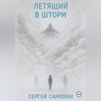 . Летящий в шторм