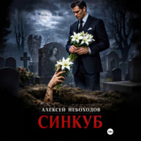 Алексей Небоходов. Синкуб