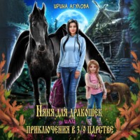 Ирина Агулова. Няня для дракошек, или Приключения в 3/9 царстве