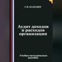 Сергей Каледин. Аудит доходов и расходов организации