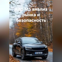 Иван Владимирович Старостин. Aito M5 анализ рынка и безопасность