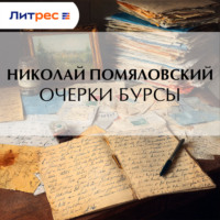 . Очерки бурсы