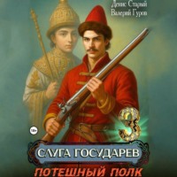 . Слуга государев 3. Потешный полк