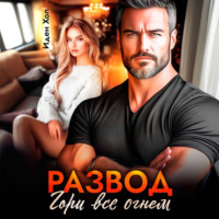 . Развод. Гори все огнем