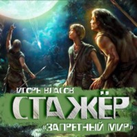 Игорь Власов. Стажёр