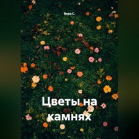 Вера С.. Цветы на камнях