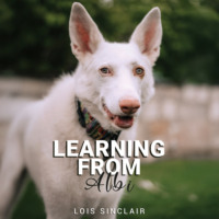 . Learning from Albi (Unabridged)