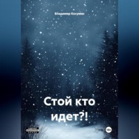 . Стой кто идет?!