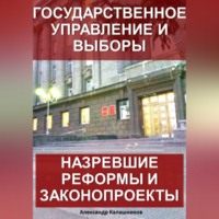 Александр Калашников. Государственное управление и выборы: назревшие реформы и законопроекты
