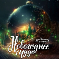 Евгений Прядеев. Новогоднее чудо