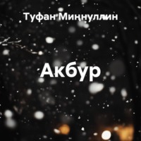 Туфан Миңнуллин. Акбур