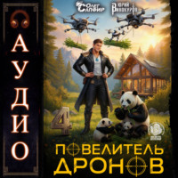 . Повелитель дронов – 4