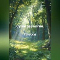 Плесси. Сутки без магии.