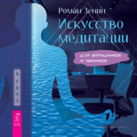 Роман Зенин. Искусство медитации для айтишников и чайников