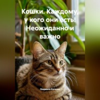 Людмила Каткова. Кошки. Каждому, у кого они есть! Неожиданно и важно.