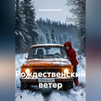 Владимир Юрьевич Малянкин. Рождественский ветер