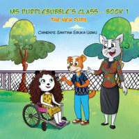 Chinenye Santina Ebuka-Ugwu. The New Pupil - Ms Purplebubble's Class, Book 1 (Unabridged)