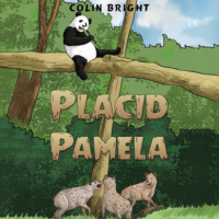 Colin Bright. Placid Pamela (Unabridged)