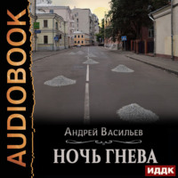 Андрей Васильев. Ночь гнева