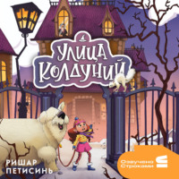 Ришар Петисинь. Улица Колдуний