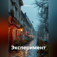 . Эксперимент