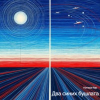 . Два синих бушлата
