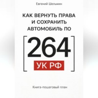 Евгений Шельмин. Как вернуть права и сохранить автомобиль по 264 УК