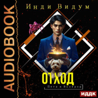 . Петя и Валерон. Книга 4. Отход