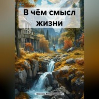 . В чём смысл жизни