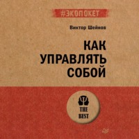 Виктор Шейнов. Как управлять собой