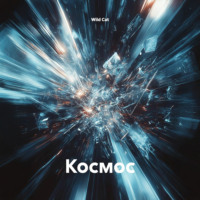 . Космос