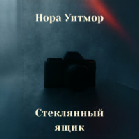 . Стеклянный ящик