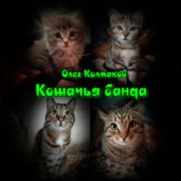 . Кошачья банда