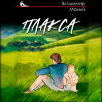 Владимир Николаевич Малый. Плакса