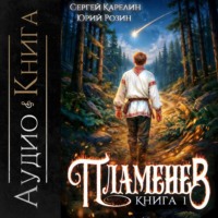 . Пламенев. Книга I
