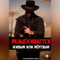 Геннадий Борчанинов. Разыскивается живым или мёртвым