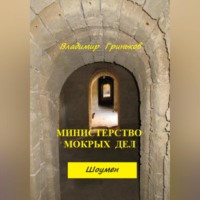 Владимир Васильевич Гриньков. Шоумен. Министерство мокрых дел