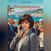 Саша Кая. Командировка. Киносценарий