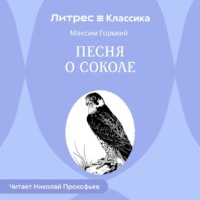 . Песня о Соколе