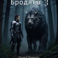 Андрей Первухин. Бродяга 3