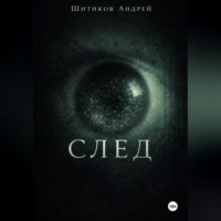 Андрей Шитиков. След