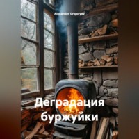 . Деградация буржуйки