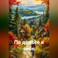 . По дороге к себе