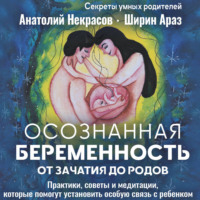 Анатолий Некрасов. Осознанная беременность от зачатия до родов. Практики, советы и медитации, которые помогут установить особую связь с ребенком
