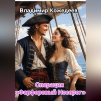 Владимир Кожедеев. Операция «Фарфоровый носорог»